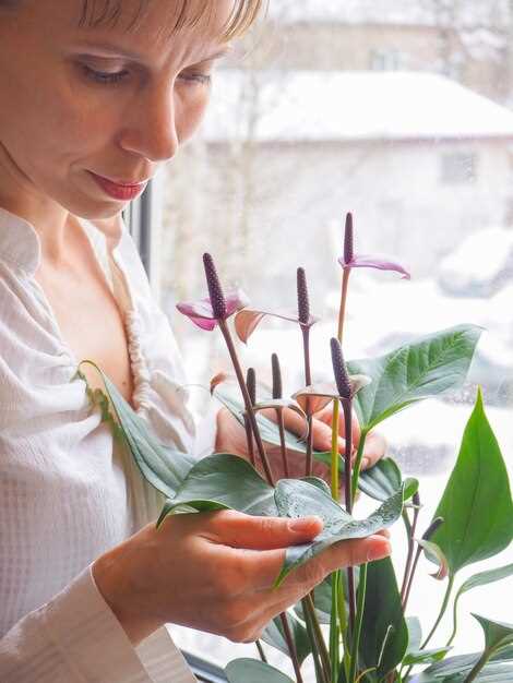 Зачем нужно исследование флоры в мазке у женщин?