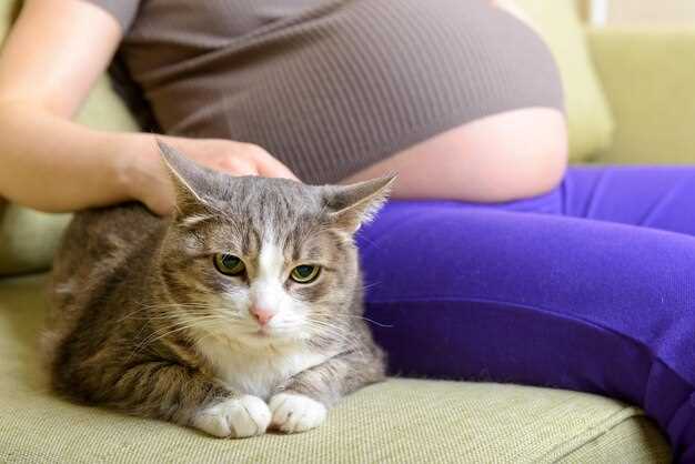 Причины и последствия заражения глистами у беременных кошек